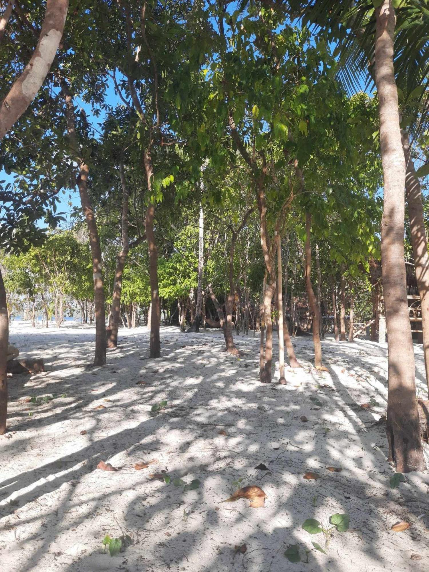 Dosplaya Ecocamp Hotel El Nido Luaran gambar