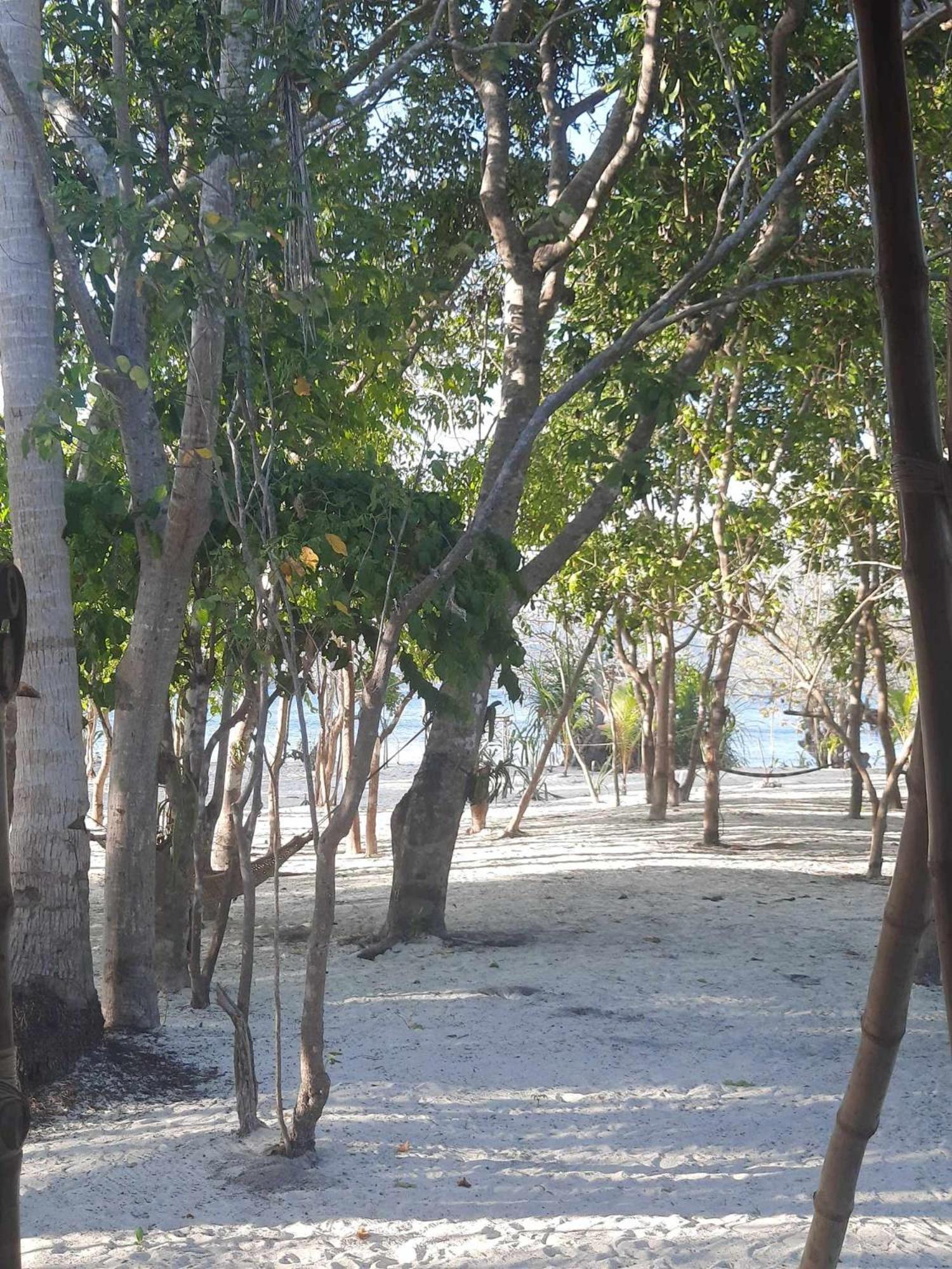 Dosplaya Ecocamp Hotel El Nido Luaran gambar